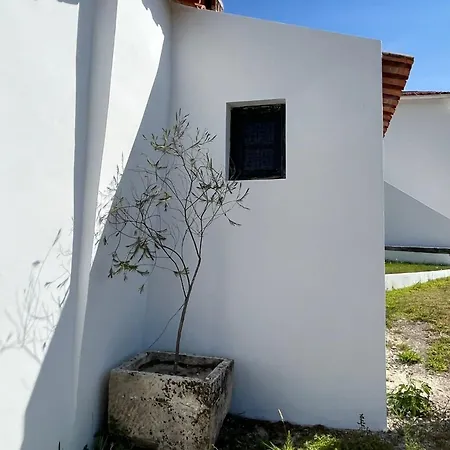Nyaraló Grosses Mit Eigenem Pool Und Spielplatz, In Der Naehe Der Mittelalterlichen Stadt Montemor-o-velho *